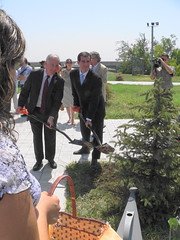 Planting Tree at the Genocide Memorial