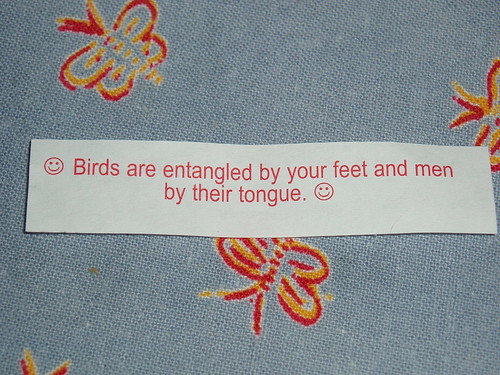 birds are entangled by your feet